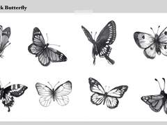 Black Butterfly 나비 굿노트 스티커