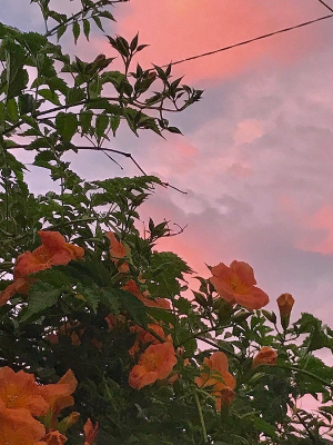 (프롤로그) 네가 잘 돼서 좋아.