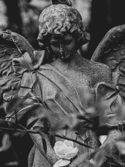 천사가 추락한 날