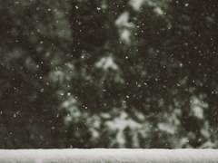 솔부 해리 포터와 히치하이킹 웨딩