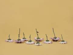 [흡툭죽/로나드라] It’s Only a Paper Moon