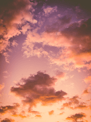 에피소드(로그中)