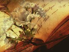 도움이 될 수 있다면