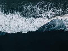 본향으로의 항해