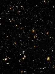 내 사랑 피어나는 코스모스처럼