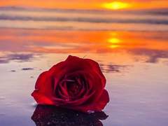 ●●●●● 2000