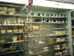 전지적 여주 시점 (하)