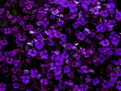 딱 2주만 쉬고 올게요(+연재 일정 조정)