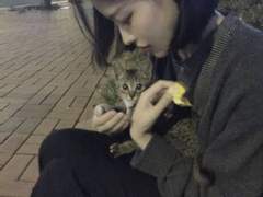 도둑 고양이/이도은