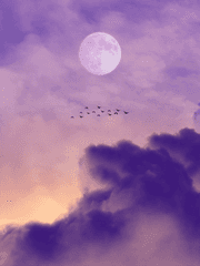 [BSD] 너의 시간으로