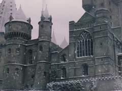 𝐋𝐞𝐰𝐢𝐬 𝐄𝐥𝐥𝐢𝐨𝐭