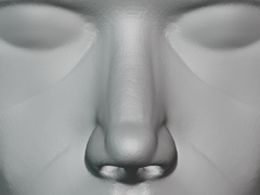 얼굴 스컬핑 Chapter 4: 코