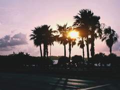 나페스 글 커미션 안내