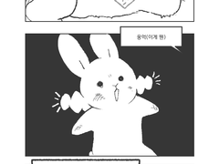 [리퀘박스] 곰토끼