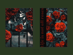 11_Life is not all roses