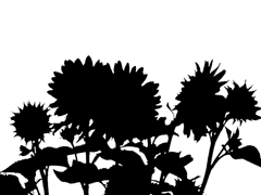 춘풍고등학교 도 원하 졸업서류