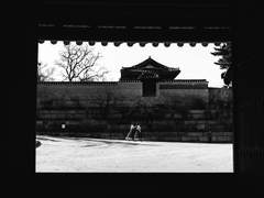 18화: 제2장. 회귀(回歸) (9)