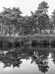 북부대공은 왜 사랑을 하게 되었나