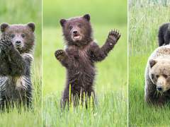 남매는 오늘도 평화롭다.