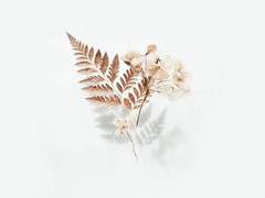 하나, 둘, 셋 하면 찰칵!