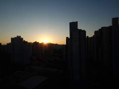 어느 마법소녀는