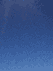 그래도 하늘은 푸르더라