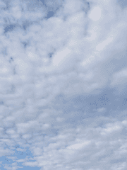 나의 첫사랑-가보자고