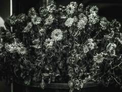 무의미하게 손을 뻗으며