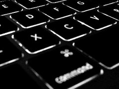 그 날 잠시나마,