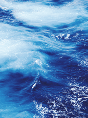 마리에트 오시안