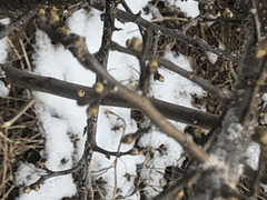 피해자와 수혜자