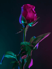 이제 시작이에요