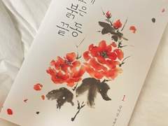 옷소매 붉은 끝동_강미강