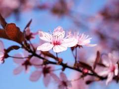 델리아_21_햇살반