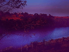 달 그림자 고인 못 (5)