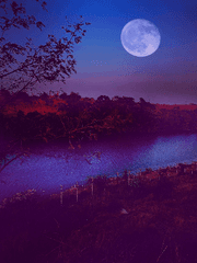 달 그림자 고인 못