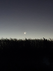 흡혈귀는 툭하면 죽는다