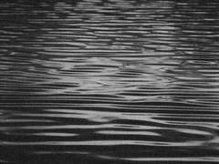 가짜 바다의 인어 上