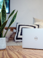 [백천청명] Mr. VOLCANO!!