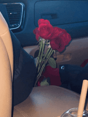 임창균 나페스 단편집