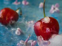 메리 앤 / XX / 정부