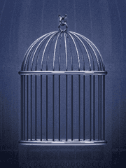 커튼콜을 위하여