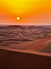 엔네아드(ENNEAD) 연성