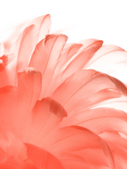 그리고 아무도 없었다.