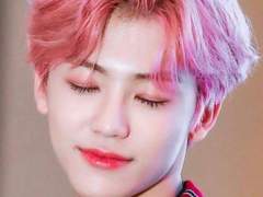 편식쟁이 포크 ++