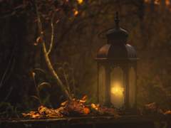 넌 날 사랑하게 될 거야