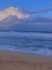 사랑과 정성으로 꽃을 키웁니다