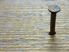 [팔라닼나] 신께서 눈을 가리시되