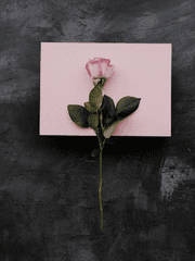 몸 사정으로 만나요