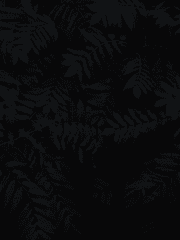 우리가 만약 평범한 사랑을 할 수 있었더라면